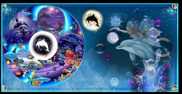 Colors Under the Sea