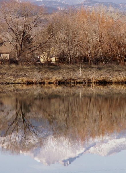Reflections in the water like shadows in my mind