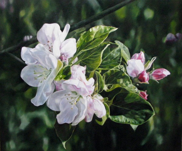 Again spring II.