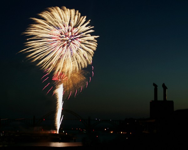 Firework Flower