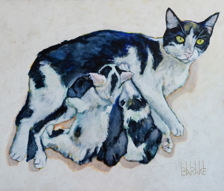 CAT  MATERNITY