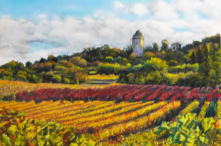 vineyards in autum sun