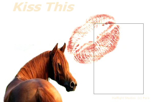 Kiss This
