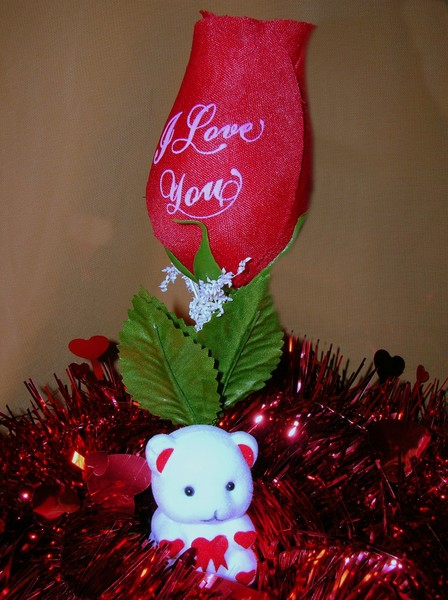 I Love You Beary Much