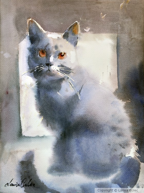 Grey Cat