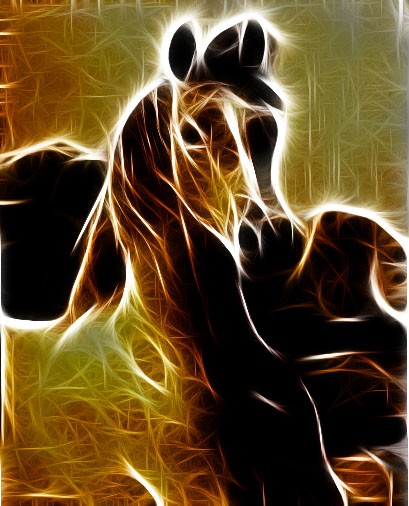 Spirit Horse
