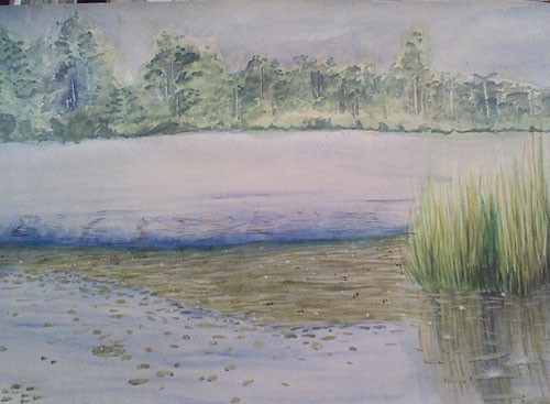 waterlilly