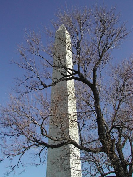 Washington Monument