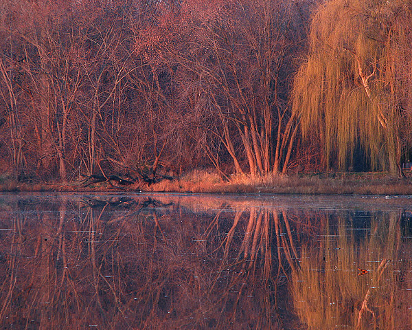 November