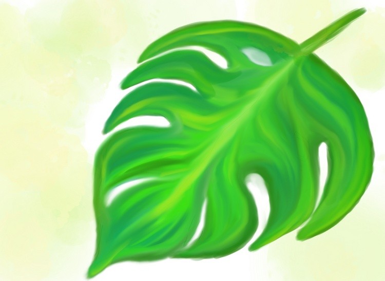 leaf