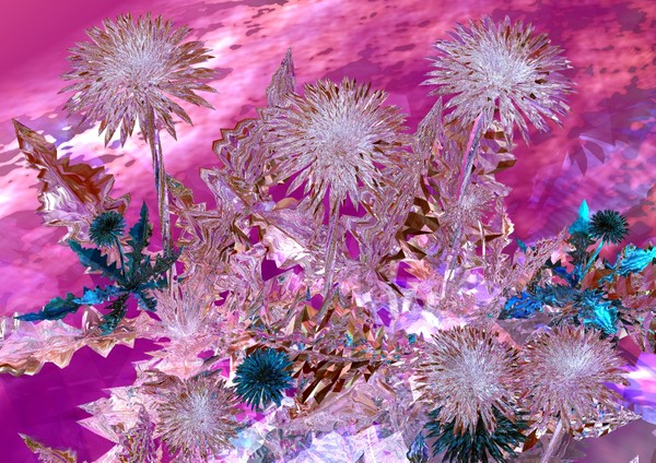Pink Flowers