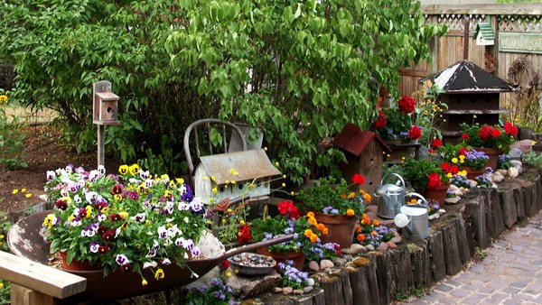 The Flower Patch