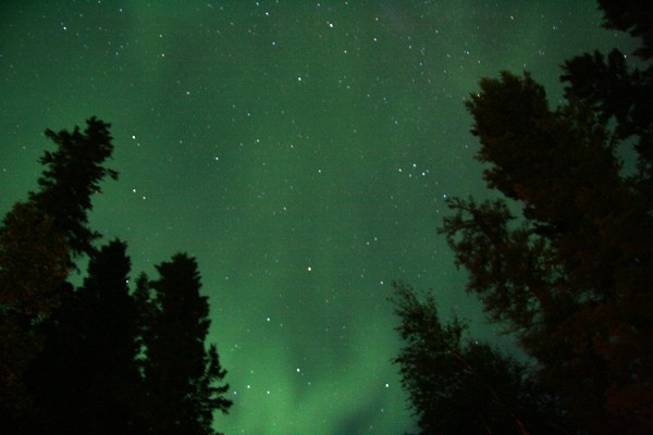 Northern Night Sky
