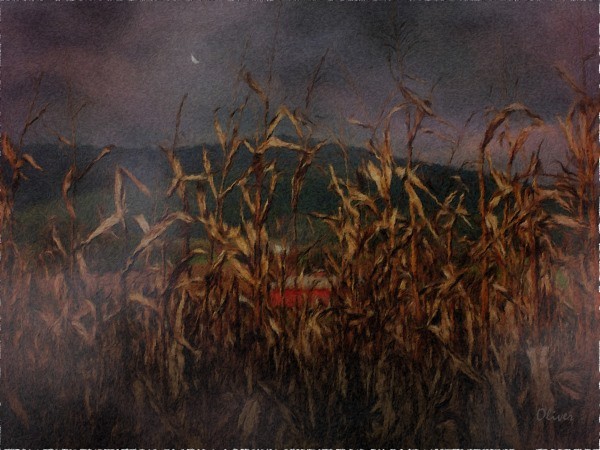 Beyond The Stalks