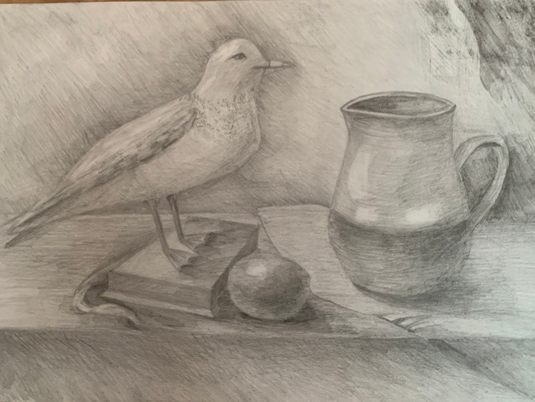 graphic still life