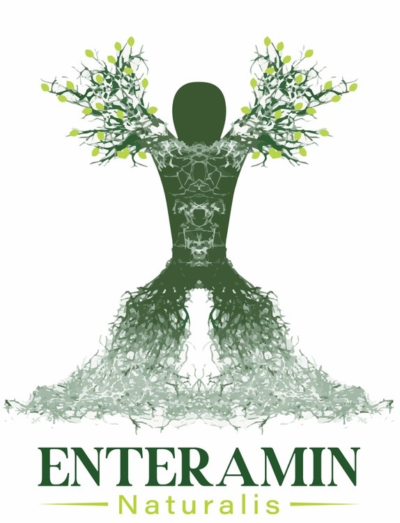 logo ENTERAMIN