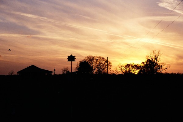 Florida Sunset