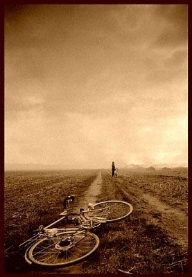 Bicycles
