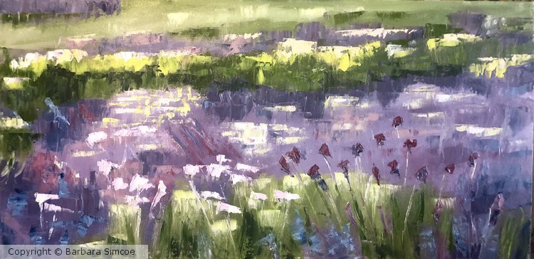 Field of Flowers