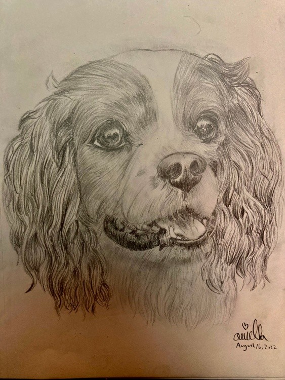 A drawing of Gucio (Goo- Cho)