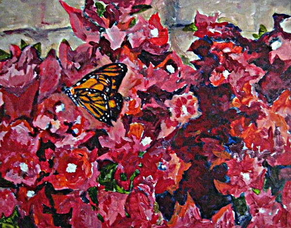 Butterfly on Bougainvillea
