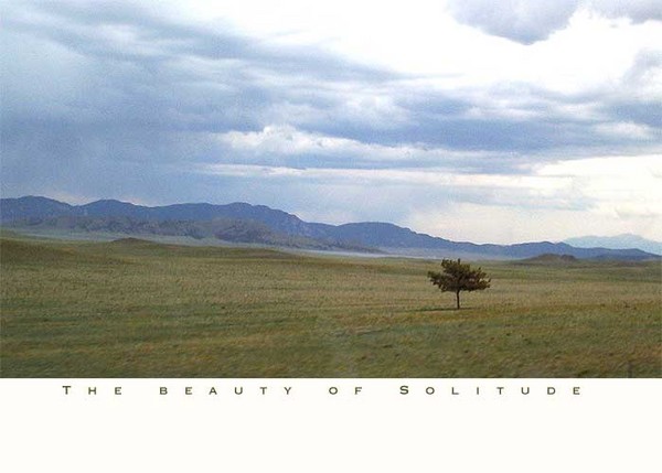 The Beauty of Solitude