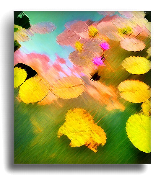 maybe Monet would like this...