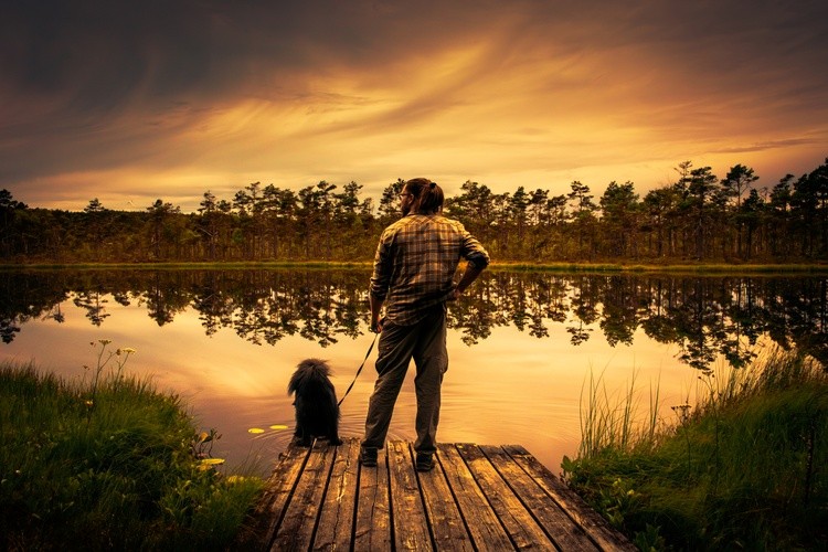 By The Lake