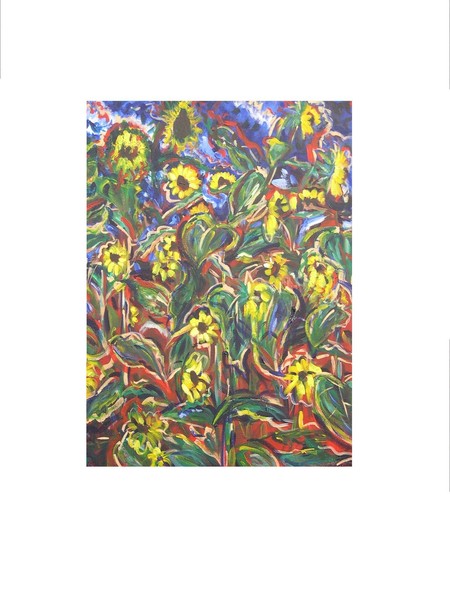 sunflowers