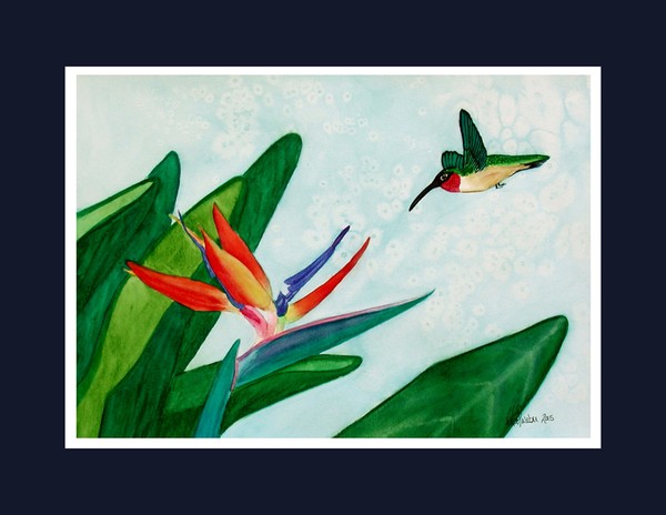 Ellusive Birds