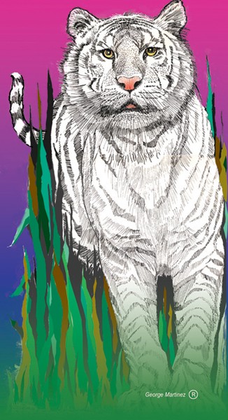 white cat