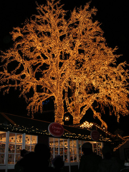 Christmas in Gothenburg