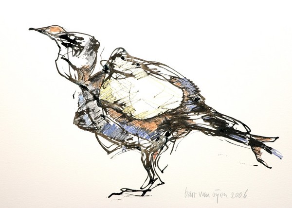 Bird