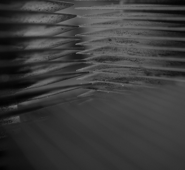 Cornered