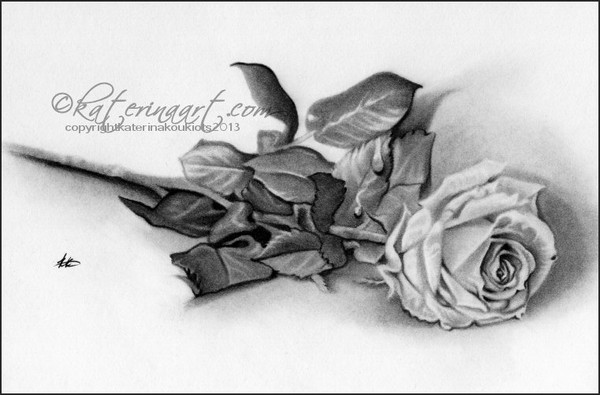 Remembrance Rose