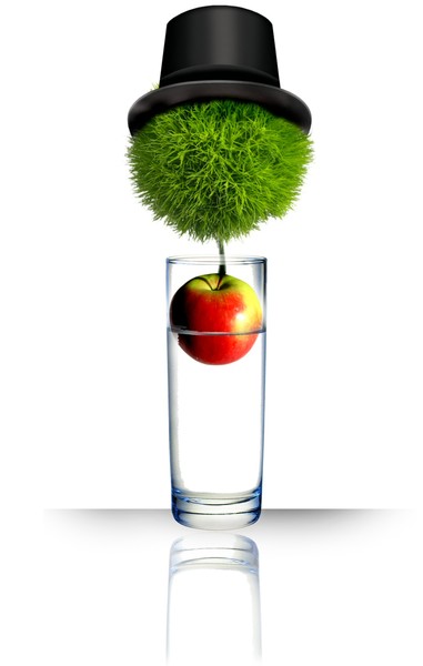 Apple Tree