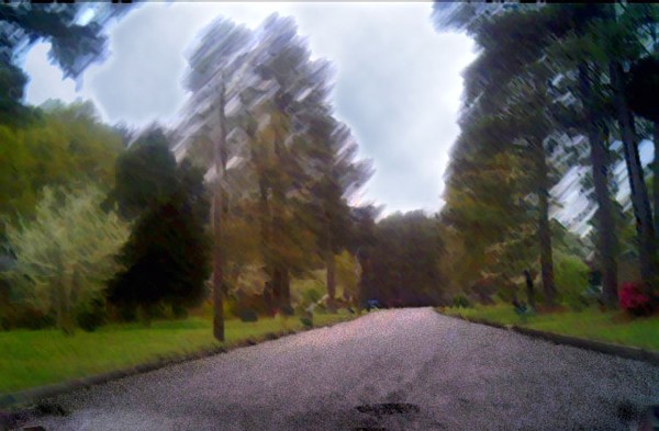 Neighborhood II