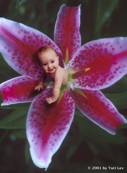 Andrianna's Flower