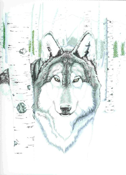 Guardian of the Forest