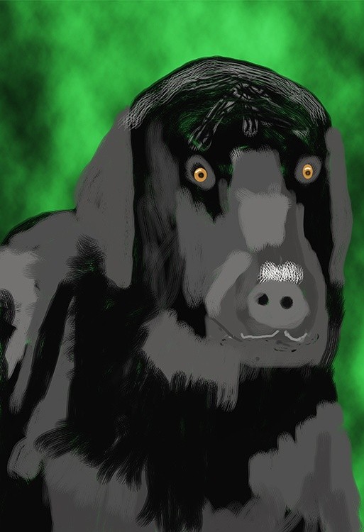Black Lab   P401a