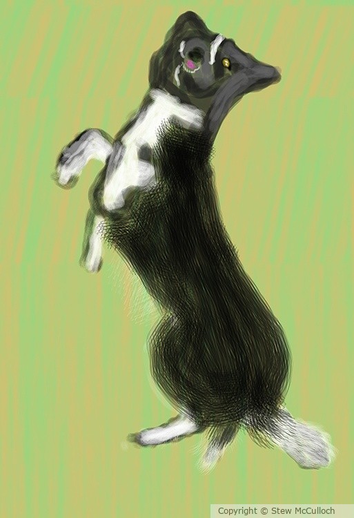 Leaping Border   P408a