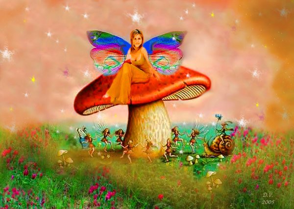 Fairy Land
