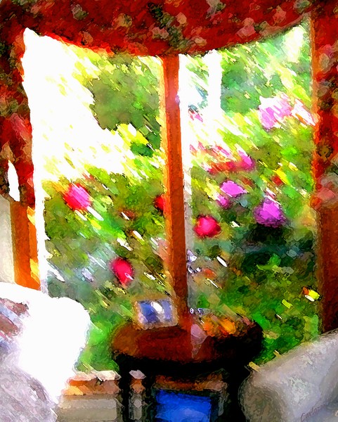 Barbara's View