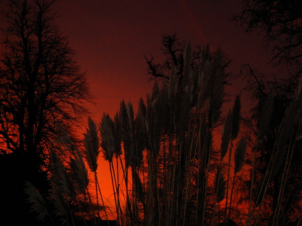 burning skys