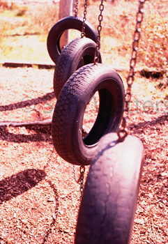 Tyre swings
