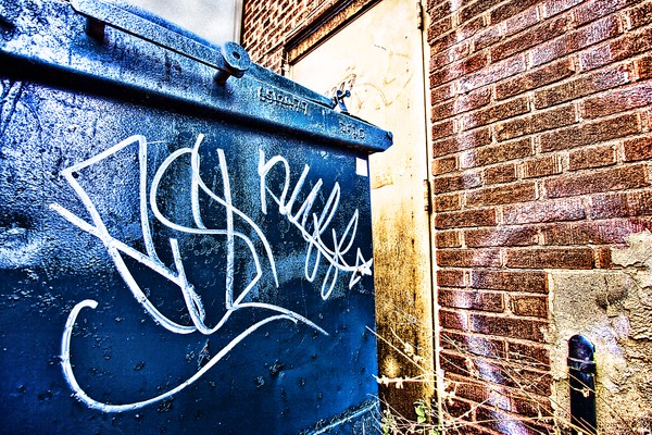 Back Alley Dumpster