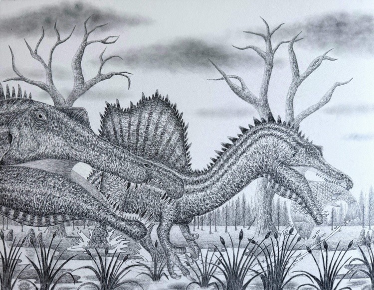 Two Spinosaurus on a Late Cretaceous Hunt