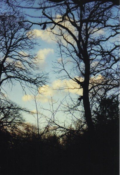 Sky
