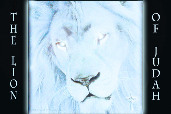 The Lion Of Judah