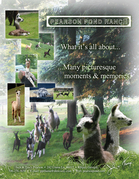 Pearson Pond Ranch
